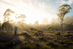 Tasmanian Photography Tours - Misty Mornings - Credit Wilkography