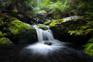 Tasmanian Photography Tours - Tasmanian Waterfalls - Credit Wilkography