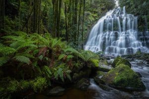 Tasmanian Photography Tours - West Coast Wilderness - Wilkography-3